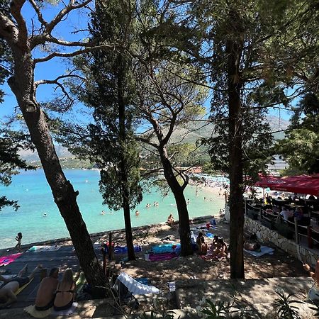 A&M Cavtat Family Apartment - 3 Bedrooms And Free Parking Exteriér fotografie