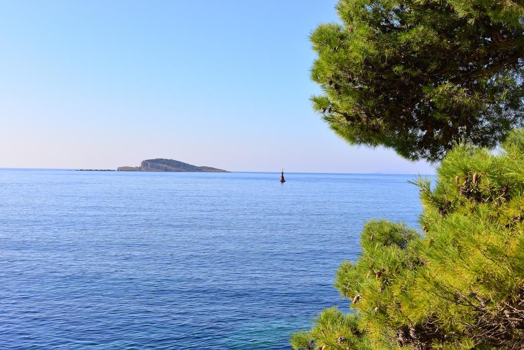 A&M Cavtat Family Apartment - 3 Bedrooms And Free Parking Exteriér fotografie
