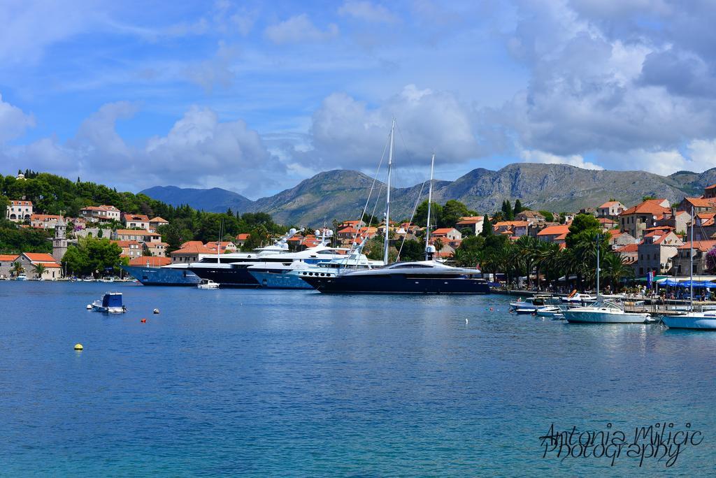 A&M Cavtat Family Apartment - 3 Bedrooms And Free Parking Exteriér fotografie